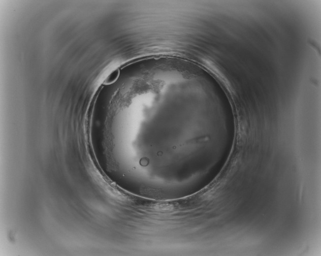 X0000100421291200806131050