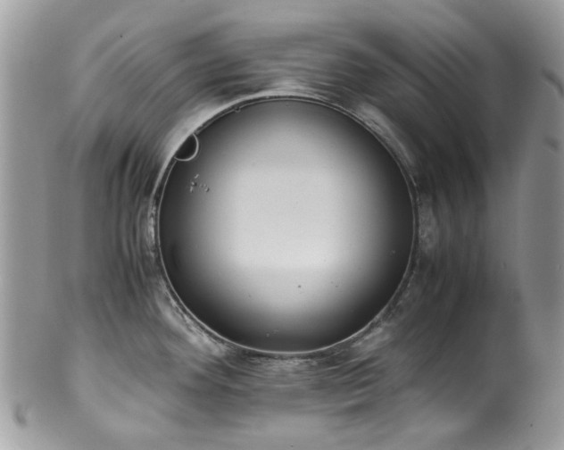 X0000100421292200806131050