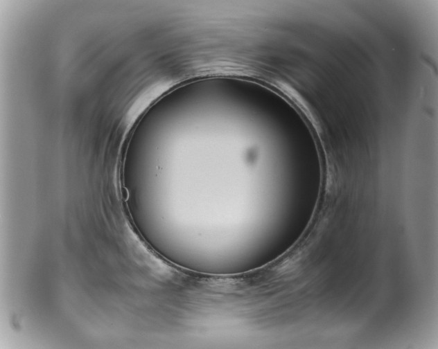 X0000100421293200806131050