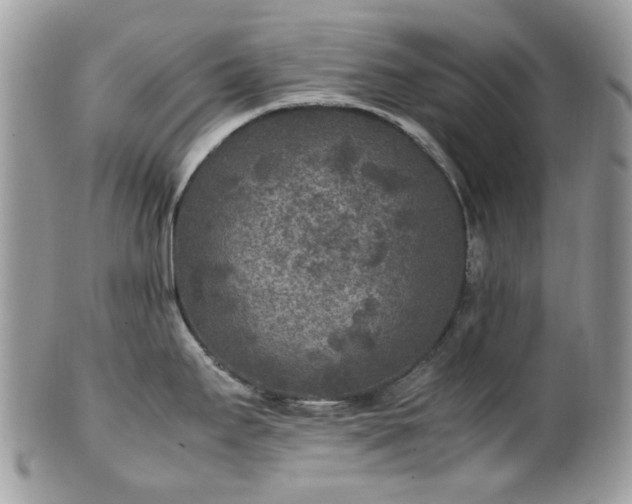 X0000100421295200806131050