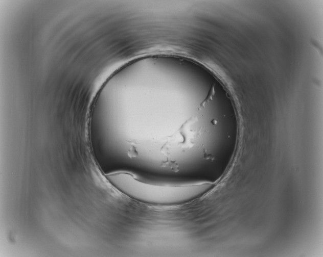 X0000100421296200806131050