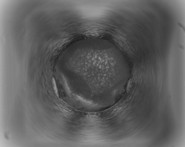 X0000100421297200806131049