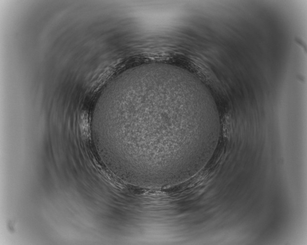 X0000100421298200806131049