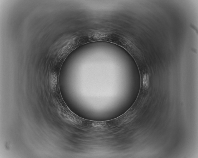 X0000100421299200806131049