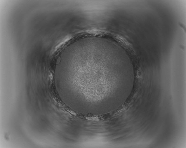 X0000100421302200806131049