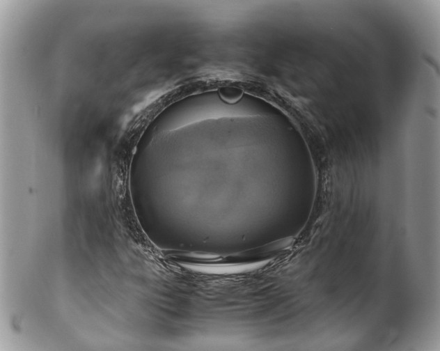X0000100421303200806131049
