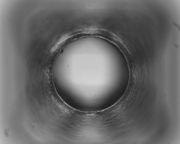 X0000100421304200806131049