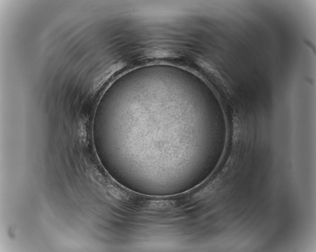 X0000100421305200806131050