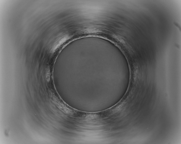 X0000100421306200806131050
