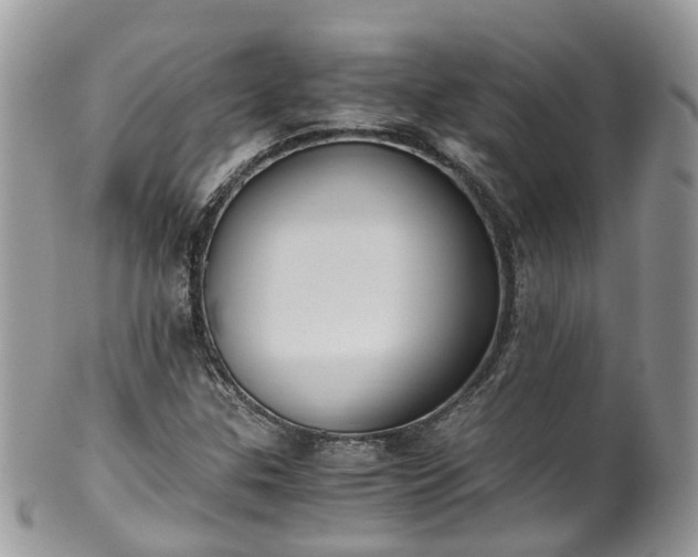 X0000100421307200806131050