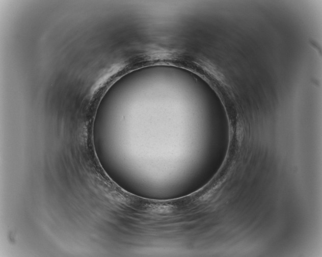 X0000100421309200806131050