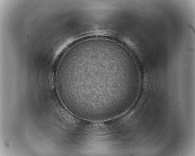 X0000100421310200806131050