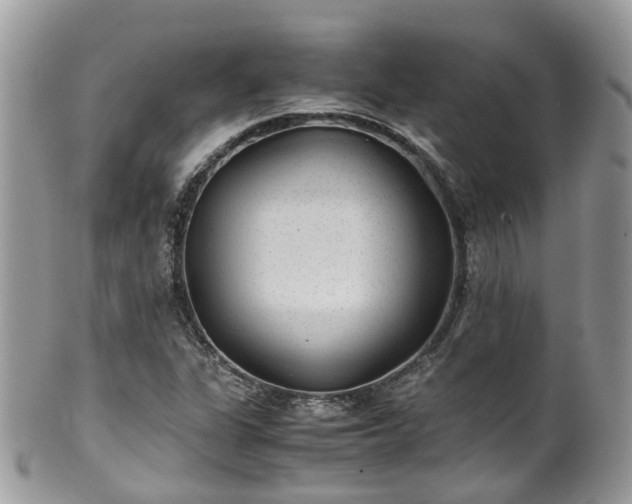 X0000100421311200806131050