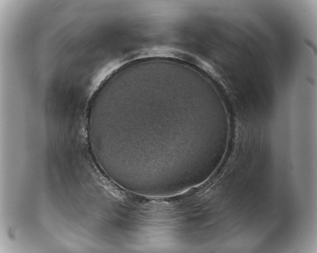 X0000100421312200806131050