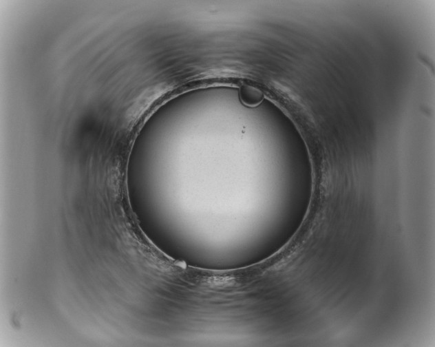 X0000100421313200806131050