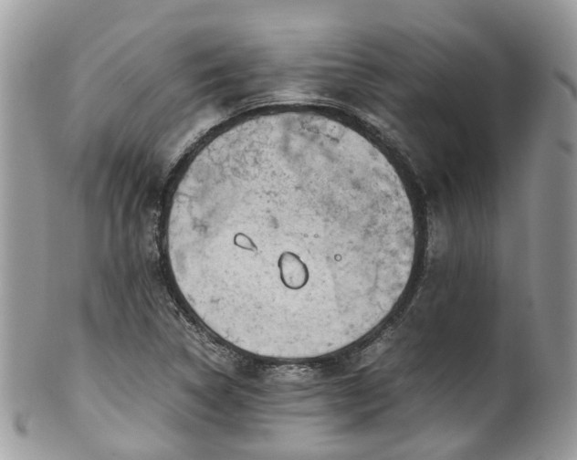 X0000100421314200806131050
