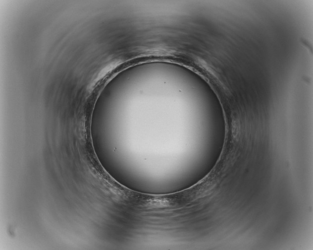 X0000100421315200806131050