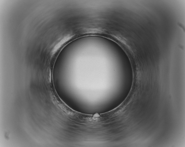 X0000100421317200806131050