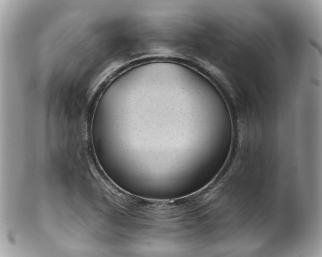 X0000100421318200806131050