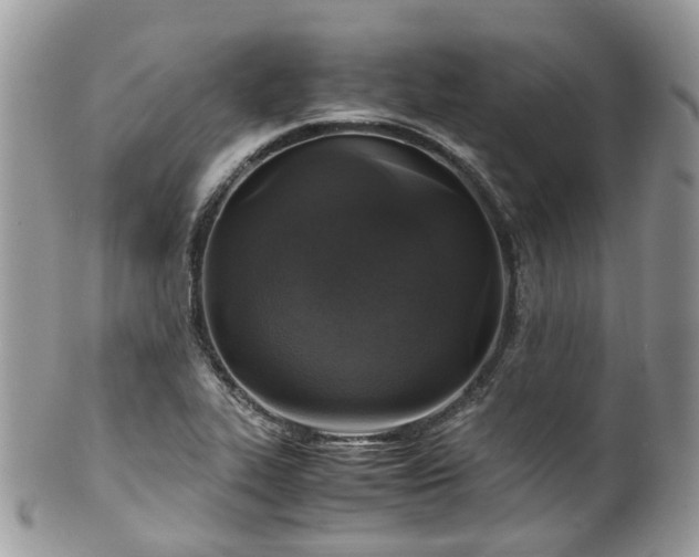 X0000100421319200806131050