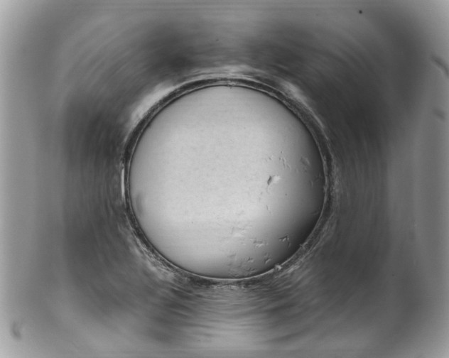 X0000100421320200806131050
