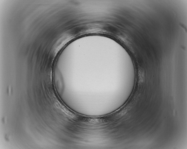X0000100421322200806131050