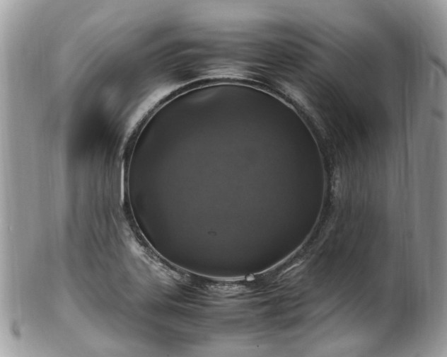X0000100421323200806131050