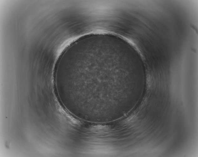 X0000100421327200806131050