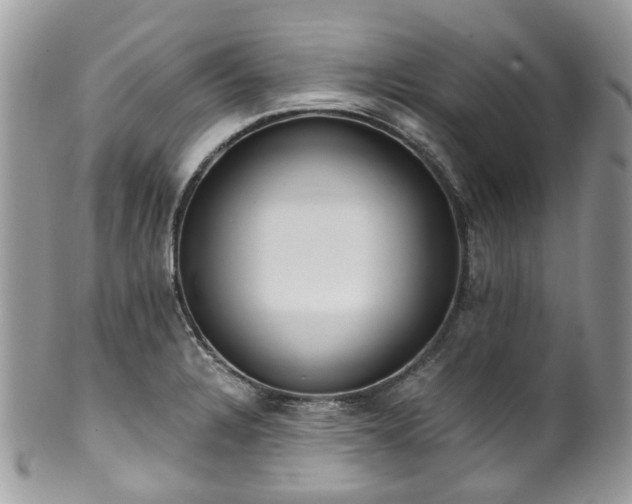 X0000100421328200806131050