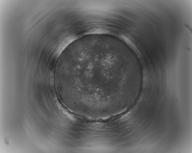 X0000100421329200806131050