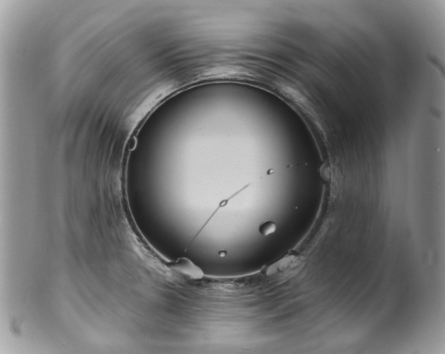 X0000100421330200806131050