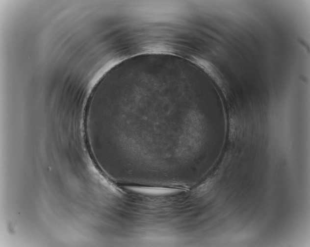 X0000100421331200806131050