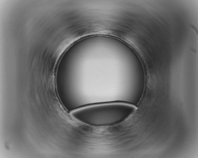 X0000100421332200806131050