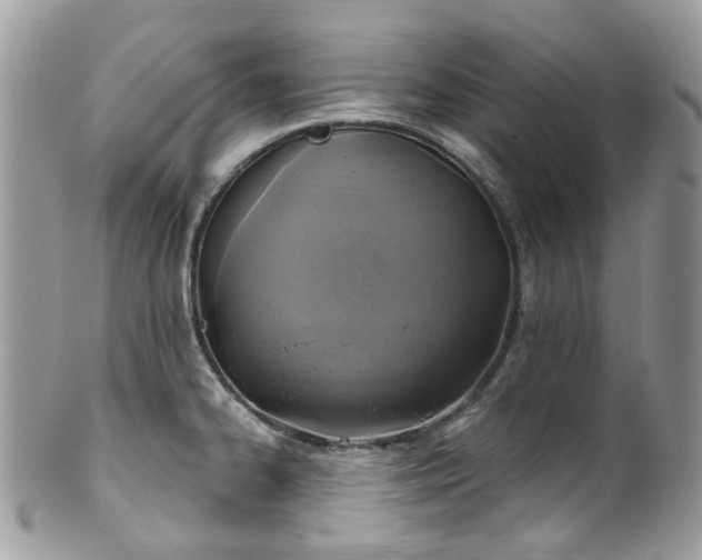 X0000100421334200806131050