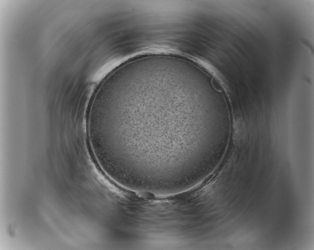 X0000100421335200806131050