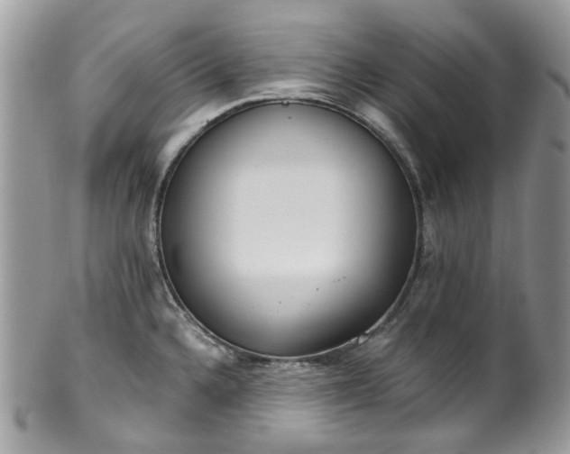 X0000100421336200806131050