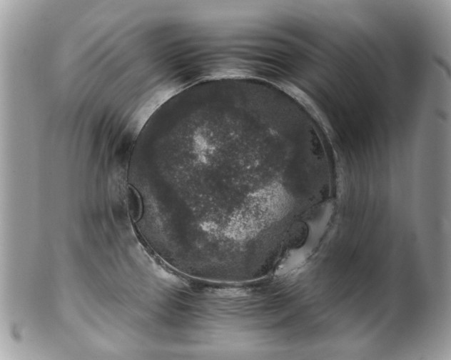 X0000100421337200806131050