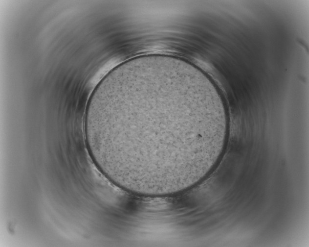 X0000100421338200806131050