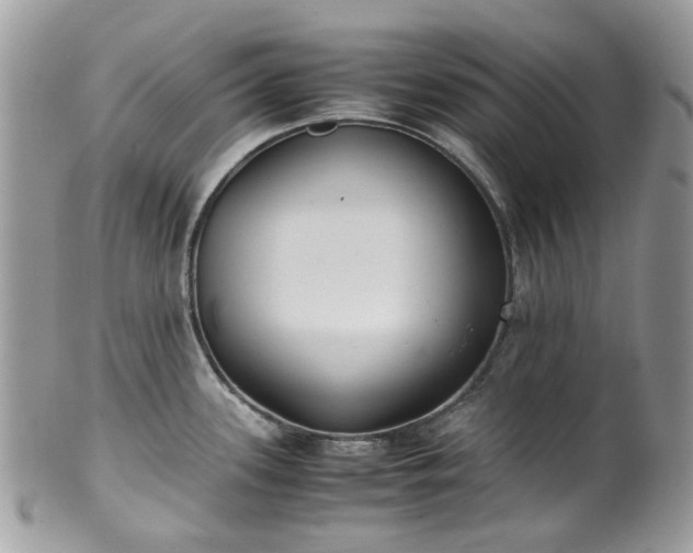 X0000100421339200806131050