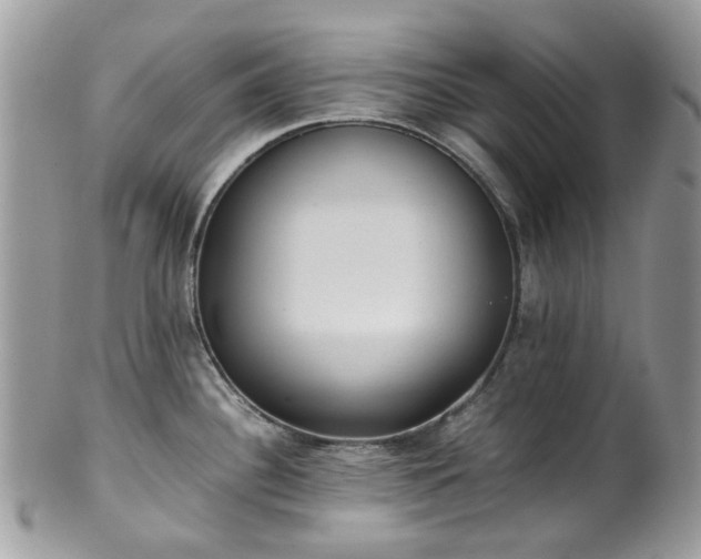 X0000100421340200806131050