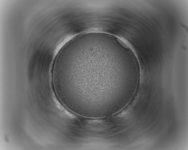 X0000100421341200806131050