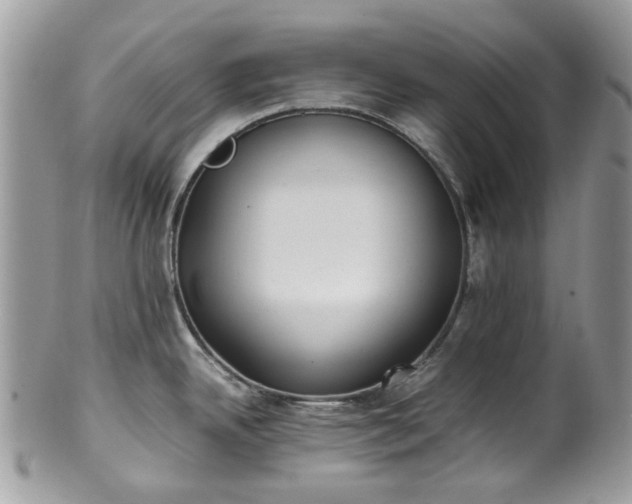 X0000100421342200806131050