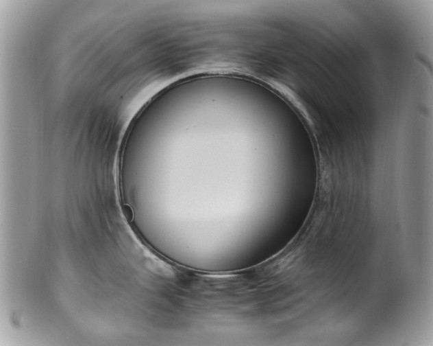 X0000100421343200806131050