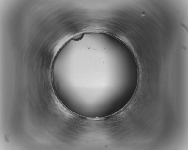 X0000100421344200806131050