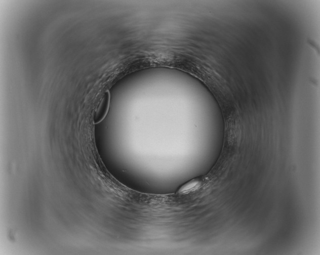 X0000100421345200806131049