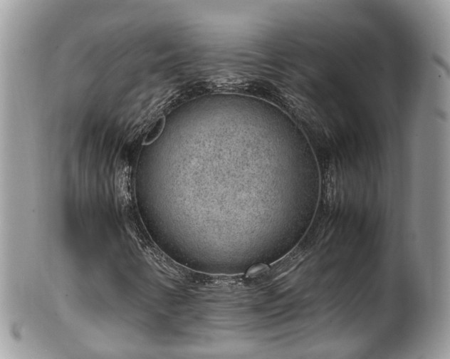 X0000100421346200806131049