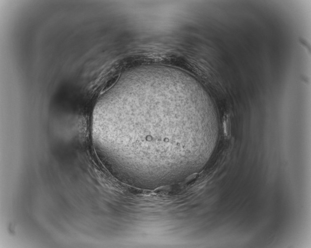 X0000100421347200806131049
