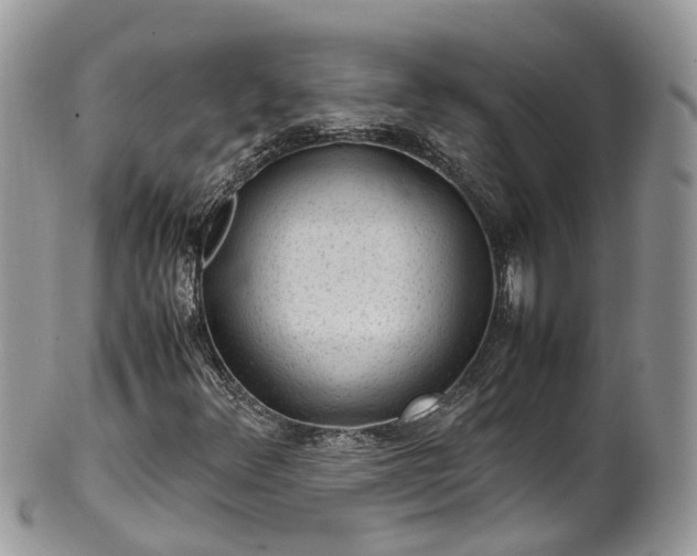 X0000100421348200806131049