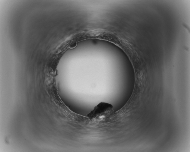 X0000100421349200806131049