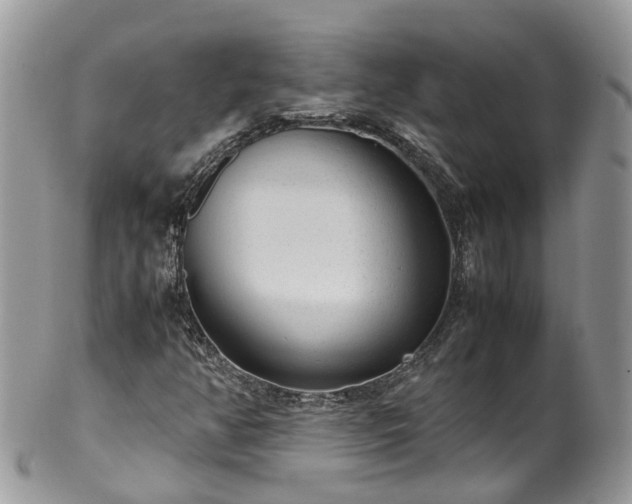 X0000100421350200806131049